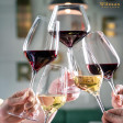 Набор из 2-х бокалов для вина 600мл(WL‑888101‑JV/2C)